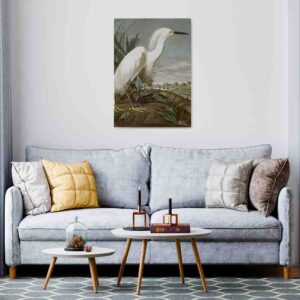 Pintura John James Audubon