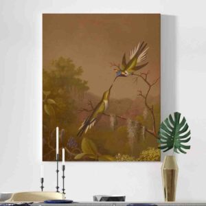 Colibries Pinturas canvas  Brazilian Hummingbirds 1864-1865