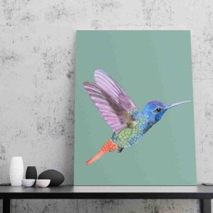 Cuadro De Colibrí decoracion pared Colibrí colorido