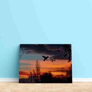 Colibrí decoracion pared cuadro canvas Colibrí y puesta de sol