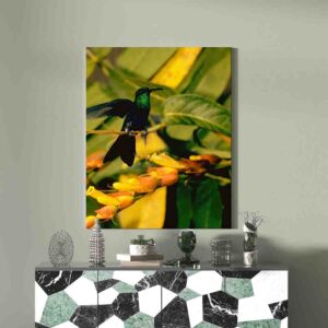 Colibries Pinturas canvas  Dmitri Kessel