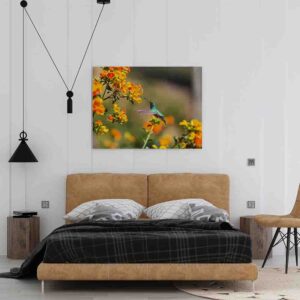 Pinturas De Colibries canvas Fantasía colibrí