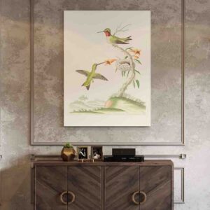 Colibrí decoracion pared cuadro canvas Red Throated Hummingbird