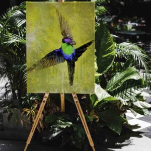 Cuadro De Colibrí decoracion pared  Violet-crowned Woodnymph