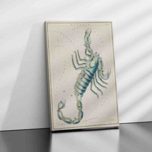 Cuadros para decorar una sala modernos Escorpio (1831
