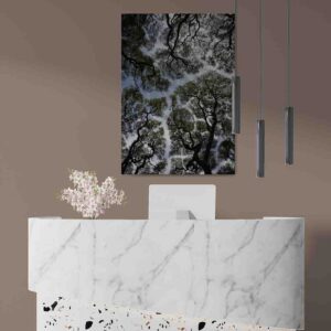 Cuadro Arbol De La Vida canvas 7