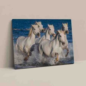 Cuadros De Caballos Para Sala Canvas 12