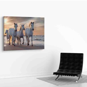 Cuadros De Caballos Para Sala Canvas 13