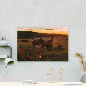 Cuadros De Caballos Para Sala Canvas 15