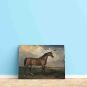 Cuadros De Caballos Para Sala Canvas 16