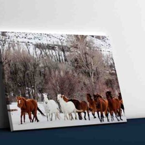Cuadros De Caballos Para Sala Canvas 22