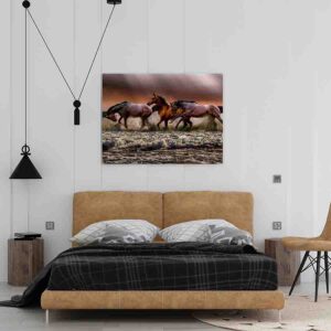 Cuadros De Caballos Para Sala Canvas 25