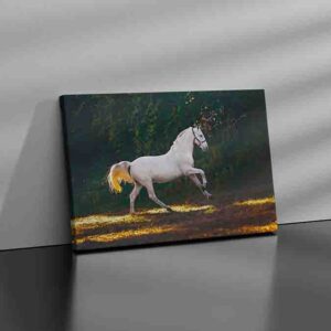 Cuadros De Caballos Para Sala Canvas 29