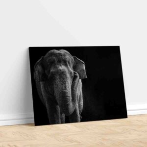 Cuadros De Elefantes Modernos En Canvas 3