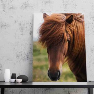 Cuadros De Caballos Para Sala Canvas 5