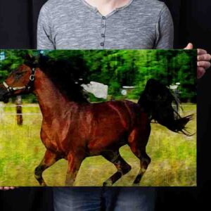 Cuadros De Caballos Para Sala Canvas 6