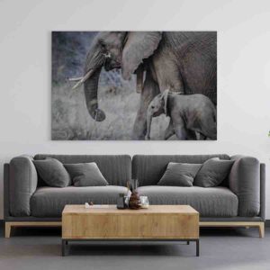 Cuadros De Elefantes Modernos En Canvas 6