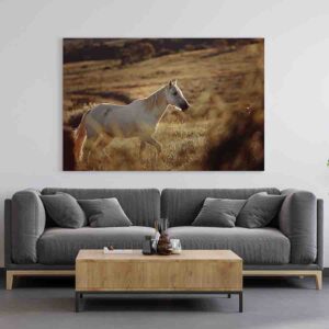 Cuadros De Caballos Para Sala Canvas 7