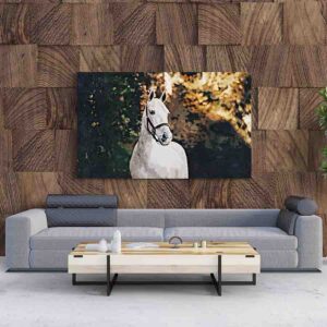 Cuadros De Caballos Para Sala Canvas 9