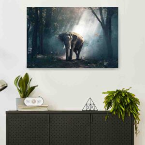 Cuadros De Elefantes Modernos En Canvas 9