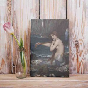 Pinturas De Mujeres Modernos En Canvas A Mermaid