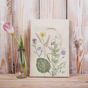 Cuadros De Flores Para Sala Canvas A study of various plants and flowering plants