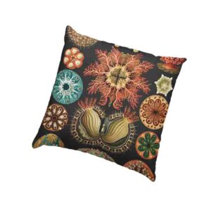 Cojines Decorativos De Estilo Vintage Mod.  Ascidiae ? Seescheiden