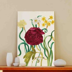 Cuadros De Flores Para Sala Canvas Farmer's Peony