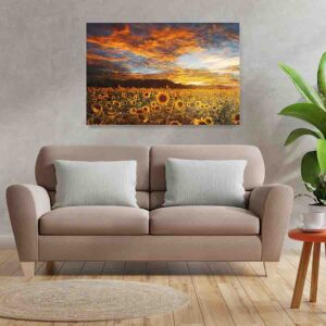 Cuadros De Girasoles Decoracion Canvas 8