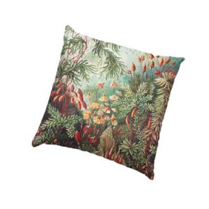 Cojines Estilo Vintage Mod. Muscinae?Laubmoose- Ernst Haeckel