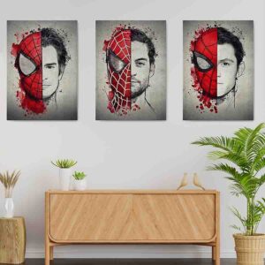 Cuadros Canvas Decoracion Hombre Araña
