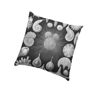 Cojines Decorativos De Estilo Vintage Mod.  Thalamophora ? Kammerlinge