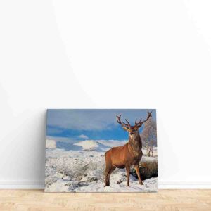 Pintura de navidad decorativa Paisajes 002
