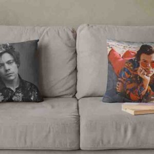 2 Cojines Decorativos Artistas De Harry Styles Mod.2