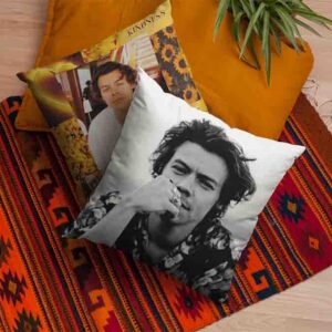 2 Cojines Decorativos Artistas De Harry Styles Mod.1