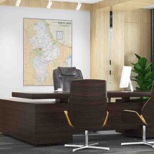 Mapa nuevo león gigante para pared
