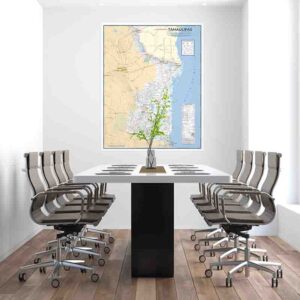 Mapa de Tamaulipas grande para pared