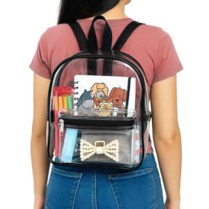 Bolso Transparente Tipo Backpack Unisex para Eventos Viajes